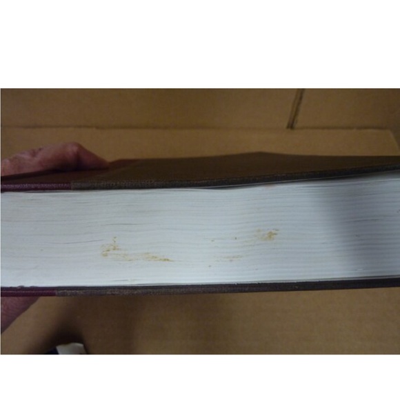 📖 New Rites of Passage Guide to Executive Job-Changing by John Lucht - Picture 3 of 10